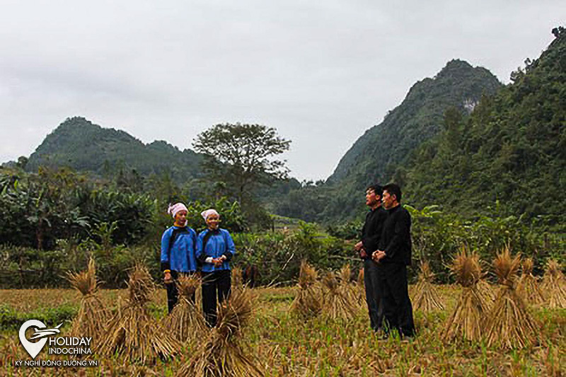 du lịch tour thác bản giốc