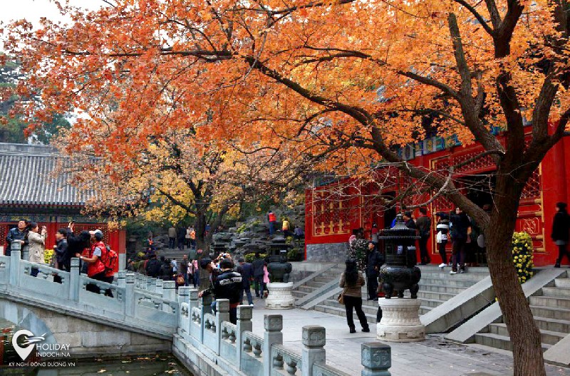 TOP 5 công viên nổi tiếng ở Bắc Kinh
