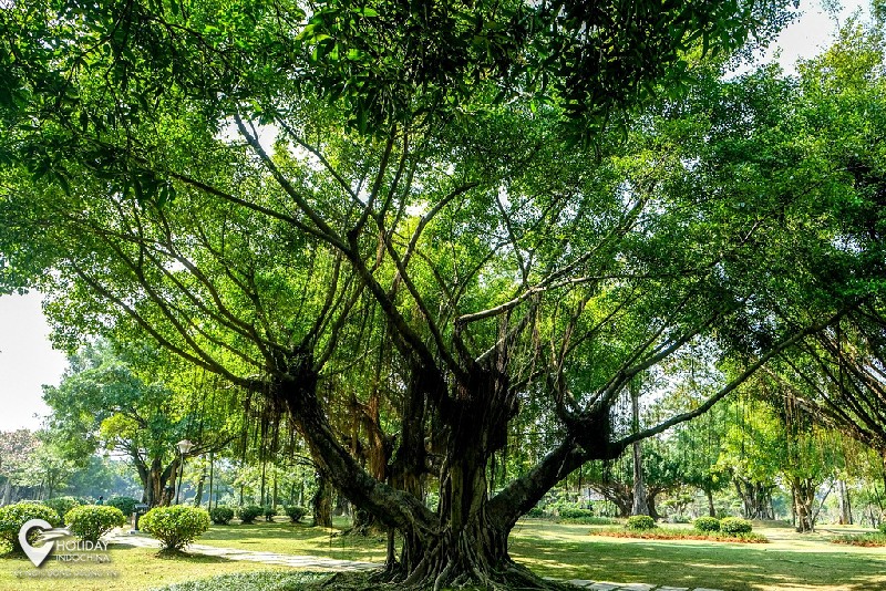 Du lịch Nam Ninh (Trung Quốc) và những điều cần biết