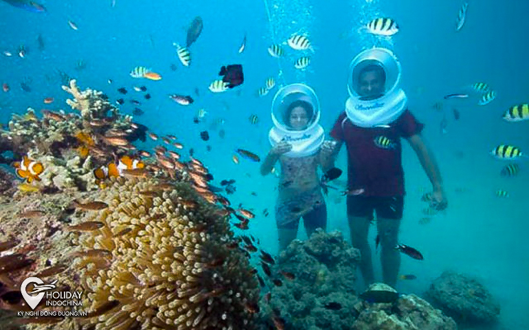 Đảo San Hô Coral Pattaya có gì vui? Thái Lan (2023)