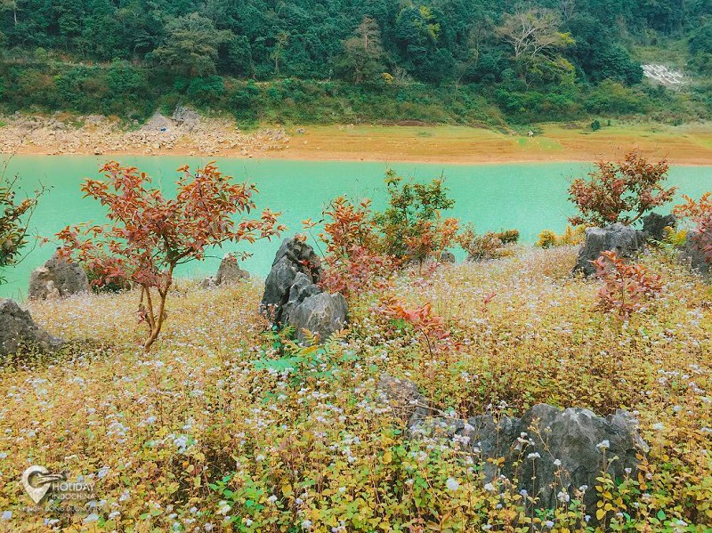 Bí mật về vẻ đẹp huyền ảo của hồ Thang Hen Cao Bằng