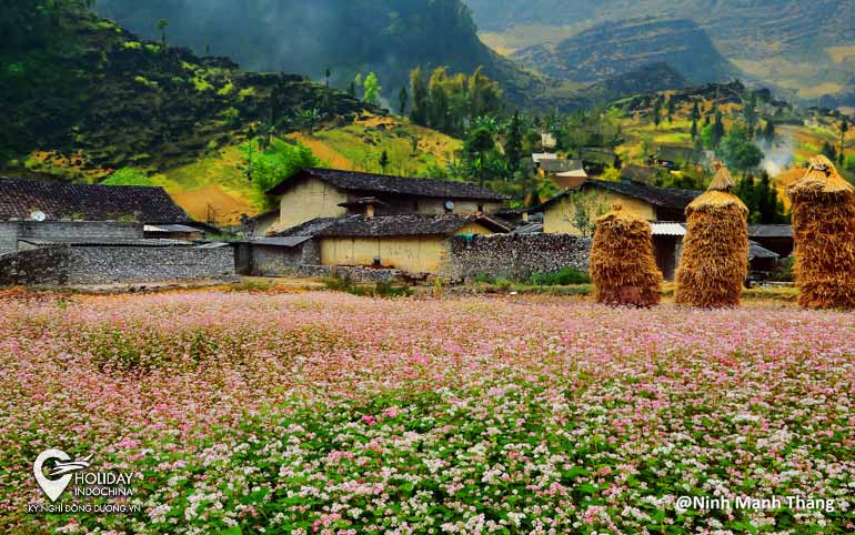 Thung lũng Sủng Là mộng mơ - Du lịch Hà Giang (2024)