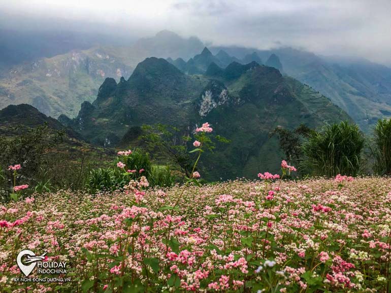 Cập nhật ngay giá vé tham quan du lịch Hà Giang 2022 bạn ơi!