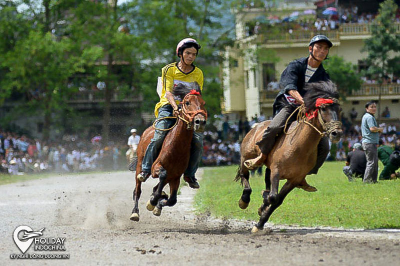 Lễ hội đua ngựa Bắc Hà Lào Cai có gì đáng chú ý?
