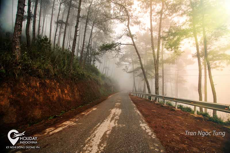 Kẻ khờ mộng mơ giữa rừng thông Yên Minh Hà Giang