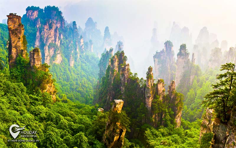 Du Lịch BỤI  Cùng đi cùng chia sẻ Ngắm núi Avatar tại Trung Quốc