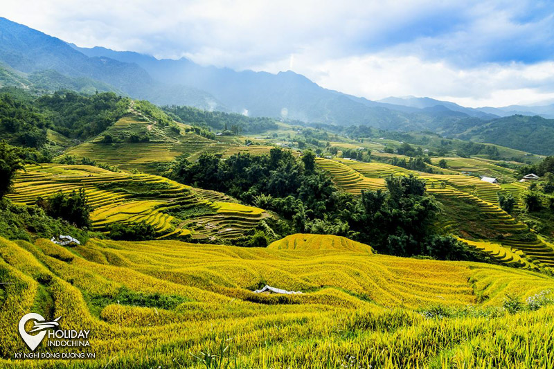 Cao nguyên Y Tý mộng mơ giữa trời Sapa