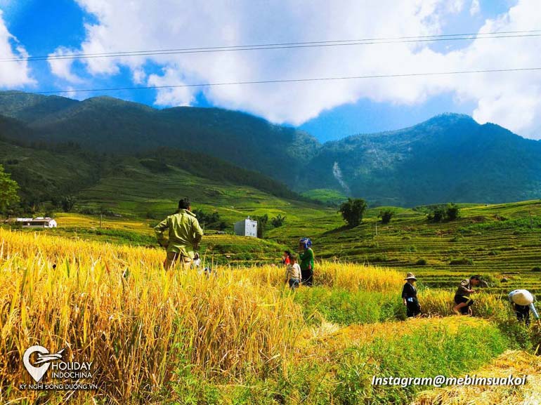 Sapa mùa thu có gì đặc biệt (2025)