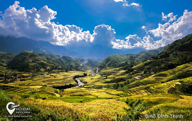 Mùa lúa chín rồi! Du lịch Sapa thôi!