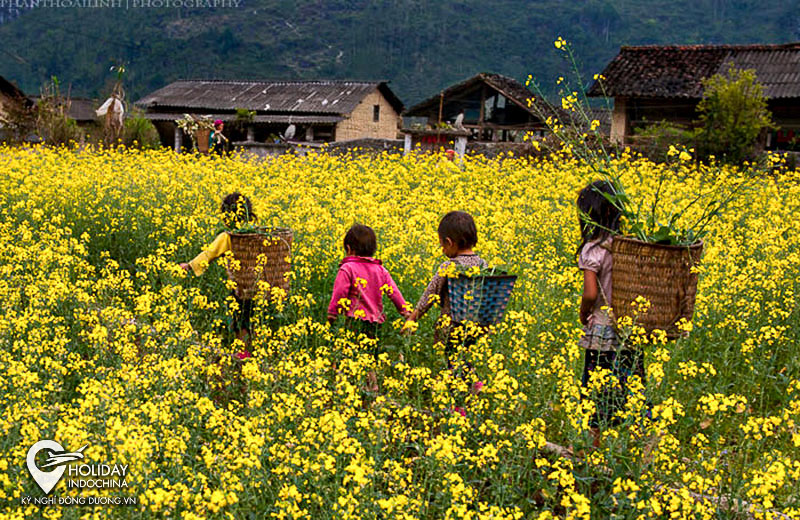 Du lịch Hà Giang mùa đông – Đi đâu ăn gì?