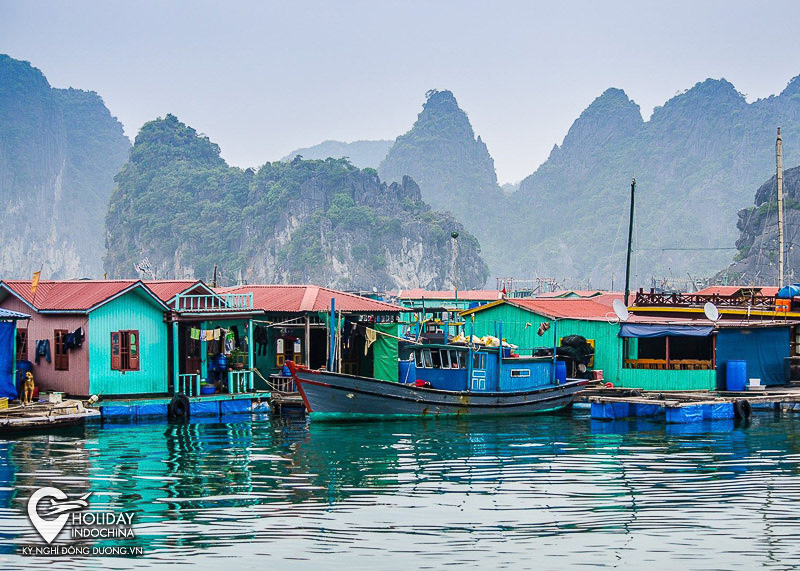 Một ngày ‘làm ngư dân’ tại làng chài Cửa Vạn Hạ Long