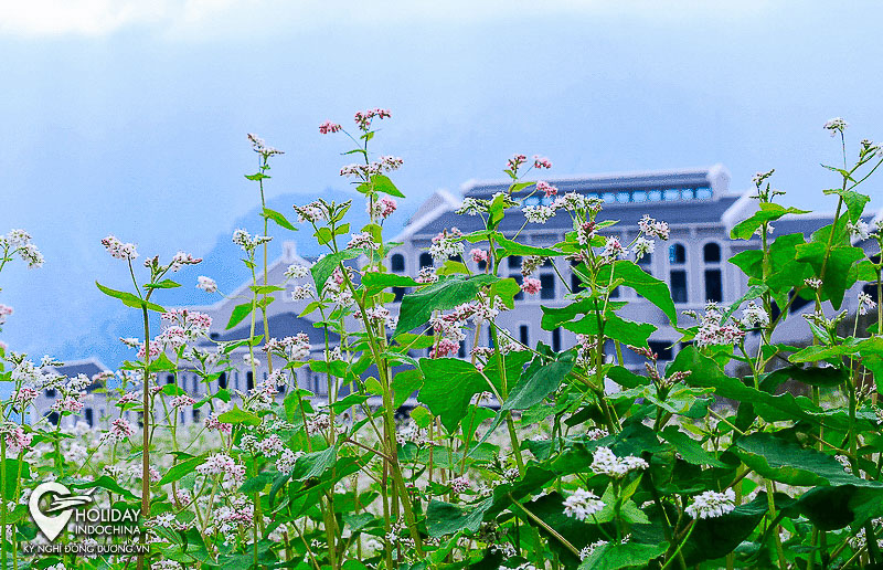 Du lịch Sapa nên đi mùa nào, ăn gì?