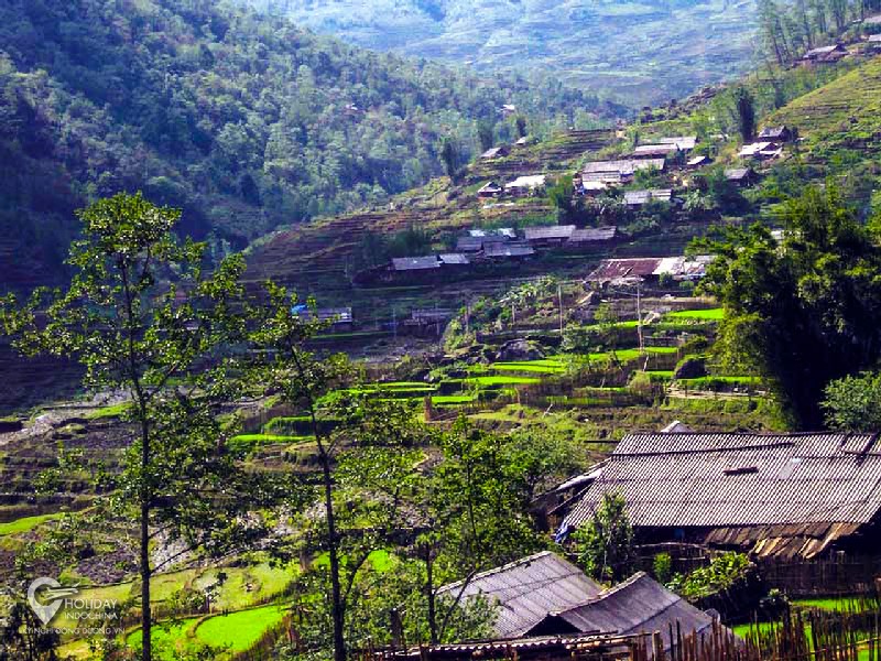 Du lịch Sapa tới bản Sín Chải bình dị