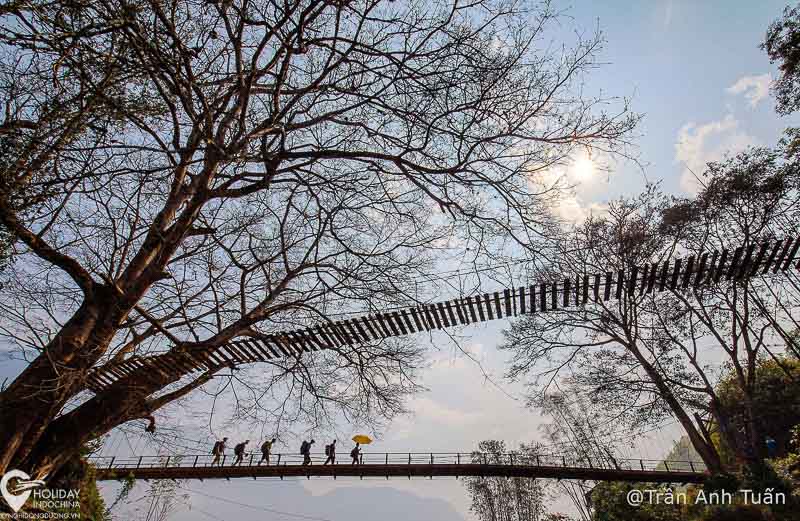 Mãn nhãn trước vẻ đẹp mạo hiểm của cầu Mây Sapa