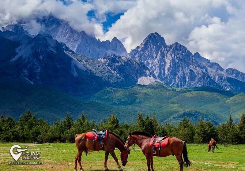 Cam Hải Tử - Nơi ngắm bình minh đẹp của Lệ Giang (2025)