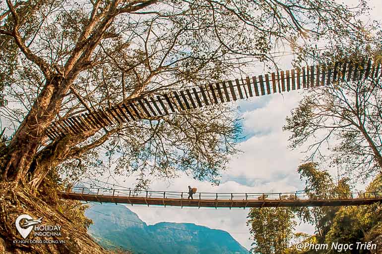 Cầu Mây Sapa – Giản dị mà đẹp mê hồn (2024)