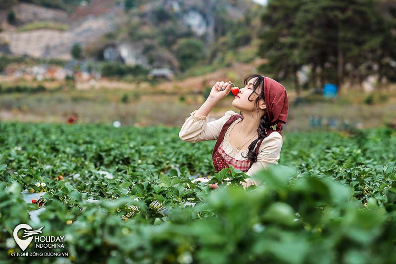 Du lịch Mộc Châu có gì mà hot đến thế?