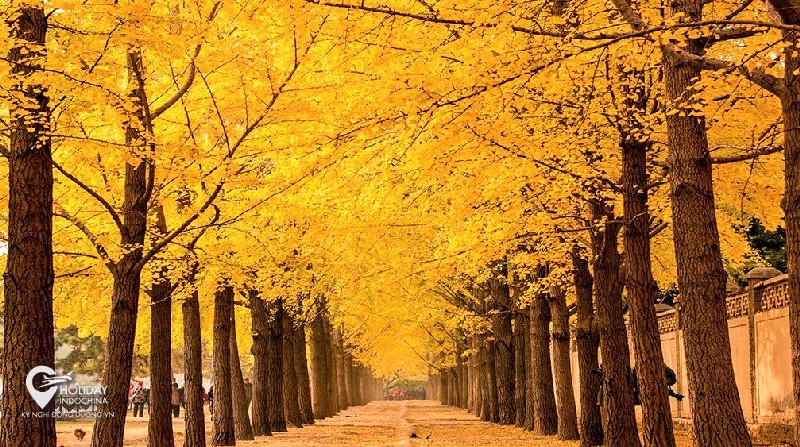 Bắc Kinh bốn mùa say đắm lòng người