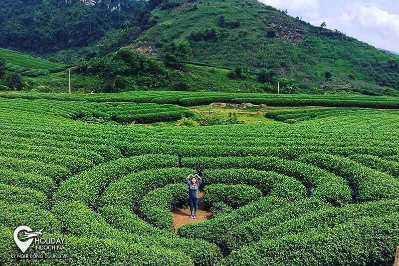 Kinh nghiệm du lịch Mộc Châu (2025) có gì cần lưu ý?