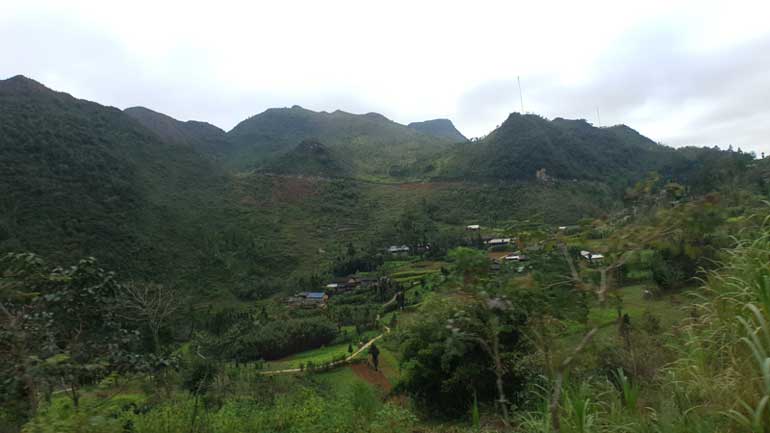 Linh Nguyễn