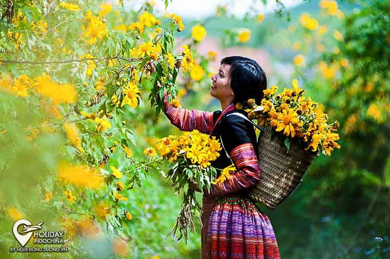 Mộc Châu - Xứ sở 12 mùa hoa