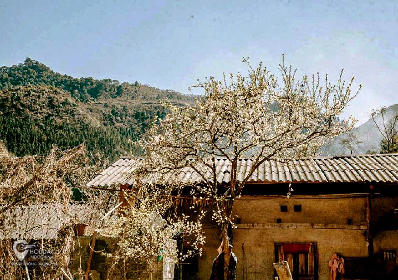 Du lịch Hà Giang với 5 điểm đến đẹp ngất ngây