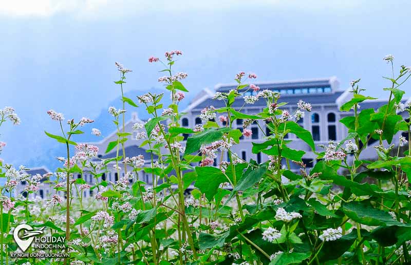 Sapa đẹp nao lòng mùa thu tháng 10