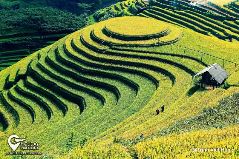 Kinh Nghiệm Du lịch Mù Cang Chải (2025) sao cho rẻ-vui-khỏe?