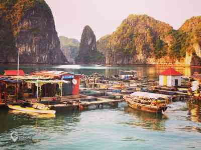 Lạc trôi giữa Làng Chài Cửa Vạn - Du lịch Hạ Long (2024)