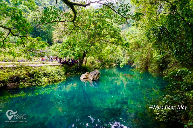 Suối Lê Nin - Trái tim xanh của núi rừng Pác Bó