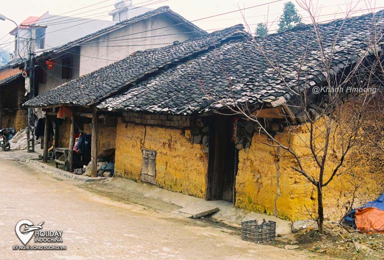 Du lịch Hà Giang mùa lúa chín nên đi đâu? Cập nhật (2025)