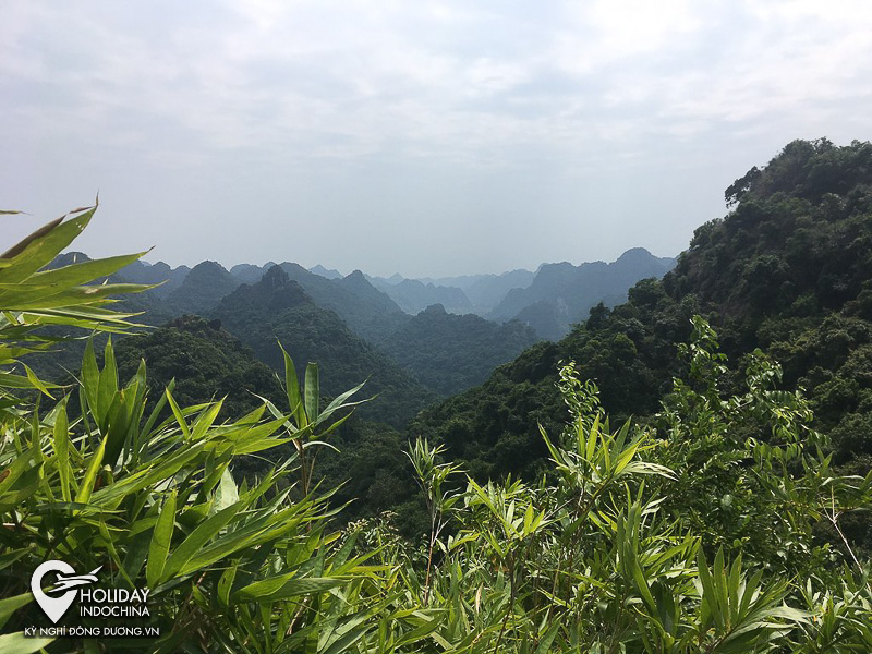 Có gì tham quan ở vườn Quốc gia Cát Bà?