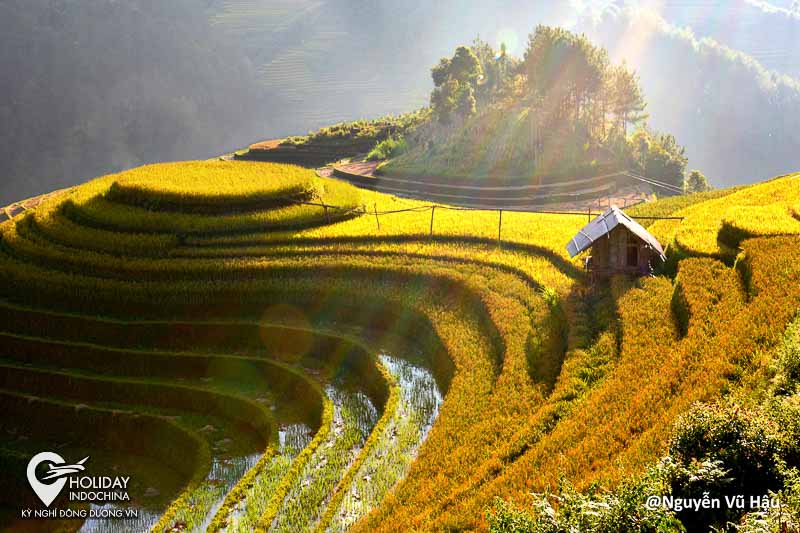 Lạc giữa đồi mâm xôi La Pán Tẩn (Mù Cang Chải)