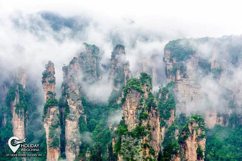 Khám phá khung cảnh tuyệt vời tại Trương Gia Giới