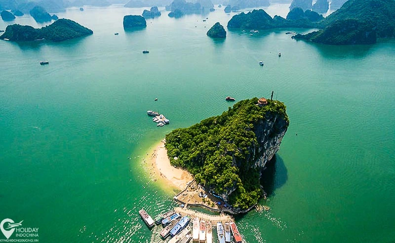 Tour Du Lịch Vịnh Hạ Long 1 ngày từ Hà Nội Giá Rẻ DV Tốt