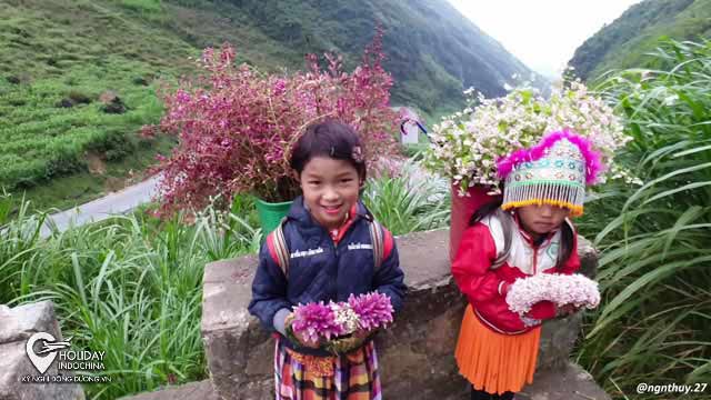 Tour Hà Giang Hà Nội Du Lịch Hà Giang Giá Rẻ 2025 Mới Lạ