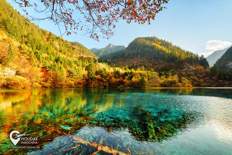 Tour Cửu Trại Câu - Lạc Sơn - Thành Đô - Trùng Khánh 2025