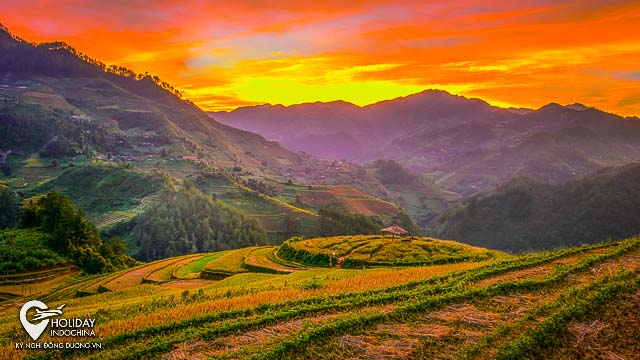 Tour Mù Cang Chải từ tpHCM Hà Nội Giá Rẻ Du Lịch 2 Ngày 1 Đêm