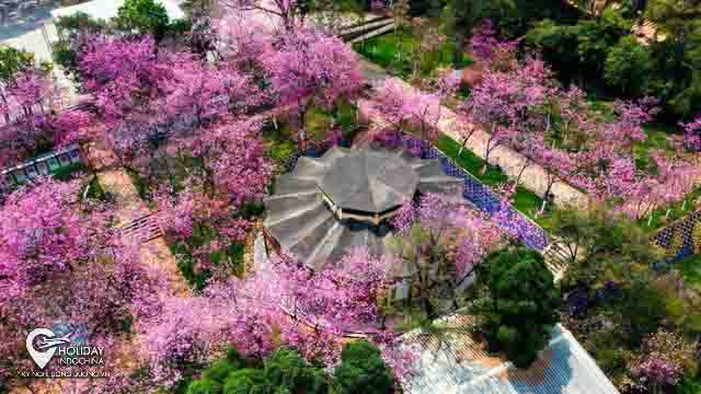 Tour Hà Khẩu Kiến Thủy Thạch Lâm Côn Minh KH Hàng Ngày 2025