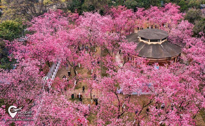Tour Hà Khẩu Kiến Thủy Thạch Lâm Côn Minh KH Hàng Ngày 2025