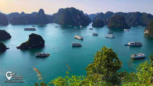 Tour Hạ Long Hà Nội HCM Giá Rẻ Du Lịch Vịnh 2025 Mới Lạ