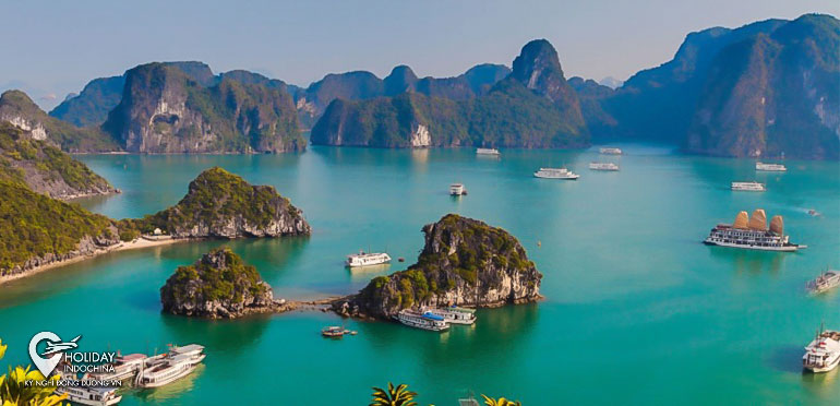 Tour Hạ Long Hà Nội HCM Giá Rẻ Du Lịch Vịnh 2025 Mới Lạ