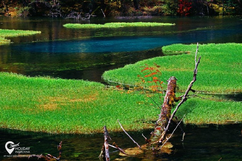 du lịch cửu trại c&acirc;u