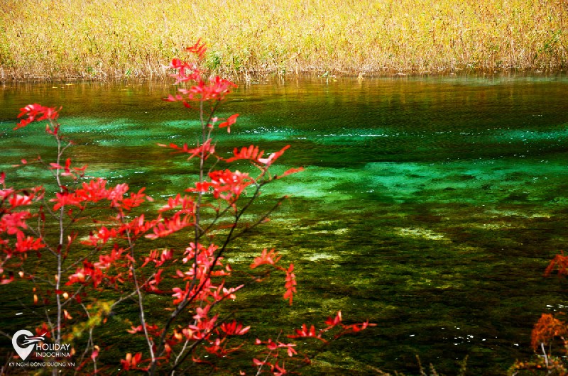 tour cửu trại c&acirc;u từ hcm