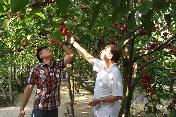 Ăn Tết miền T&acirc;y