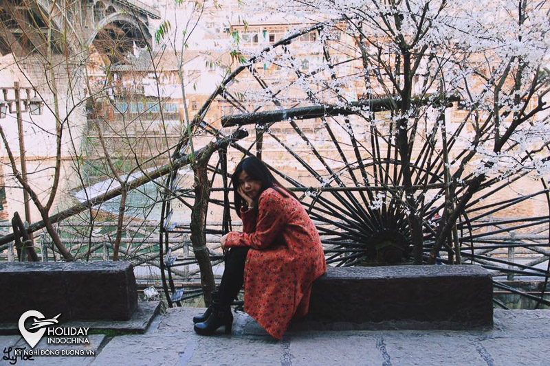 tour trương gia giới