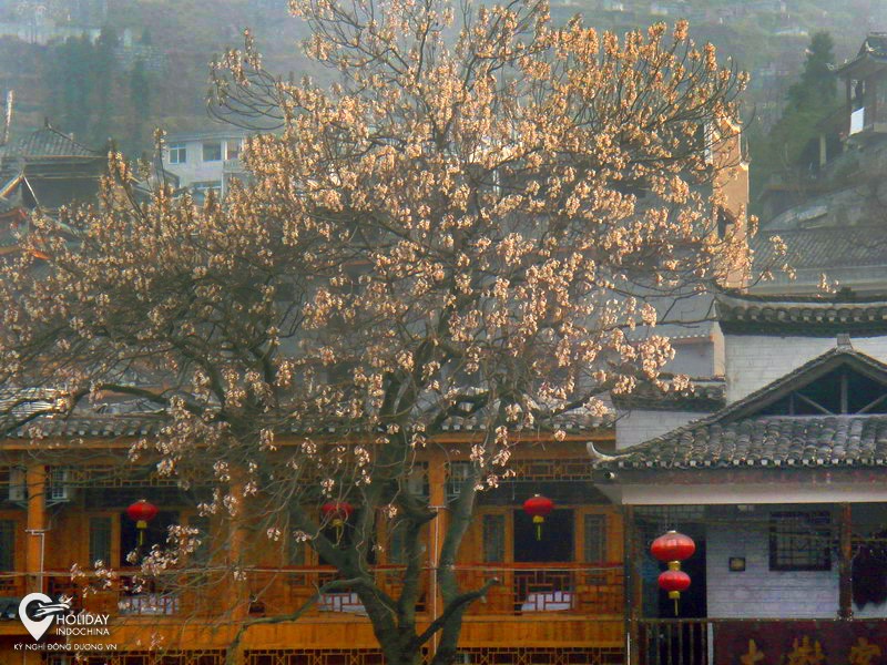 du lịch phượng ho&agrave;ng cổ trấn