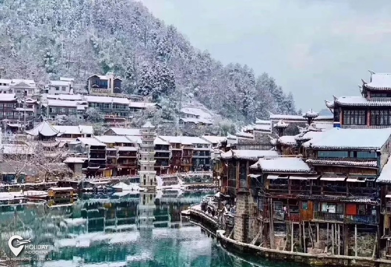 tour phượng ho&agrave;ng