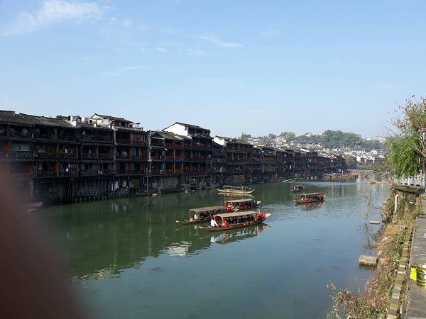 phuong hoang co tran