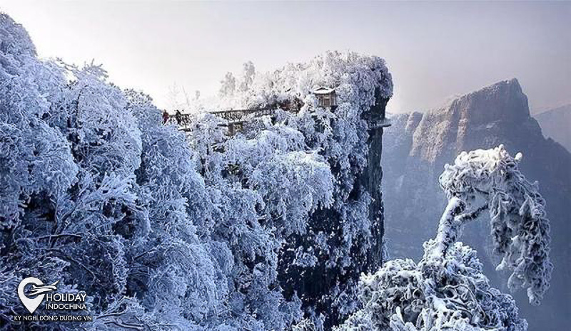 du lịch trương gia giới